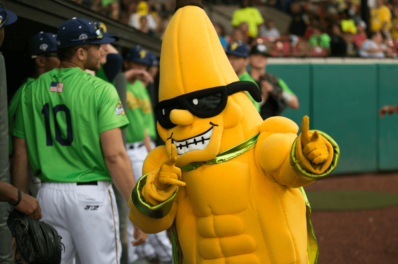 How Much Do The Savannah Bananas Get Paid Per Year