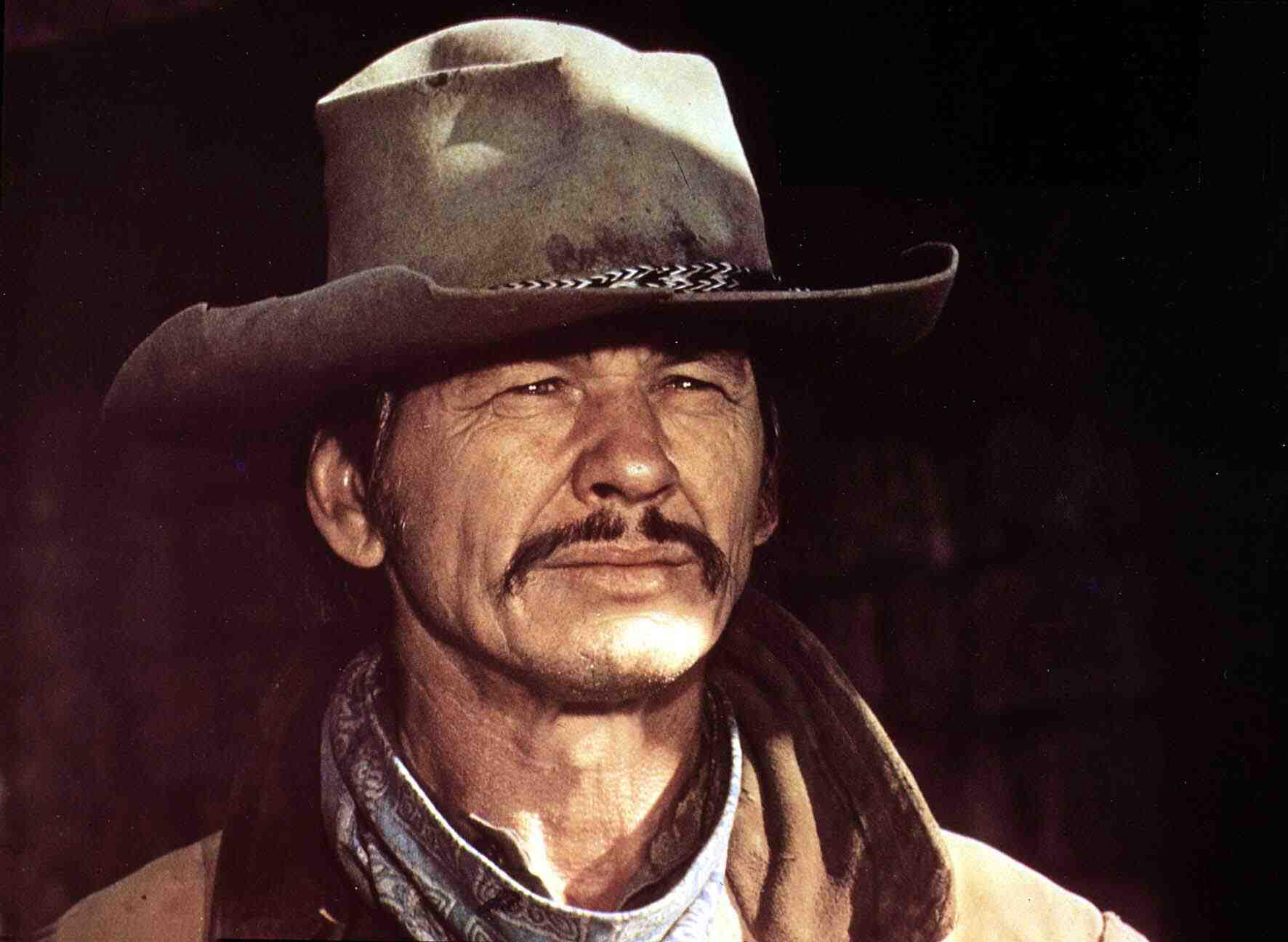 How Much Is Charles Bronson Worth