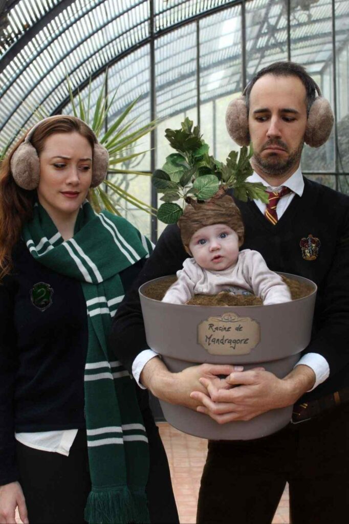 Harry Potter Diy Halloween Costumes