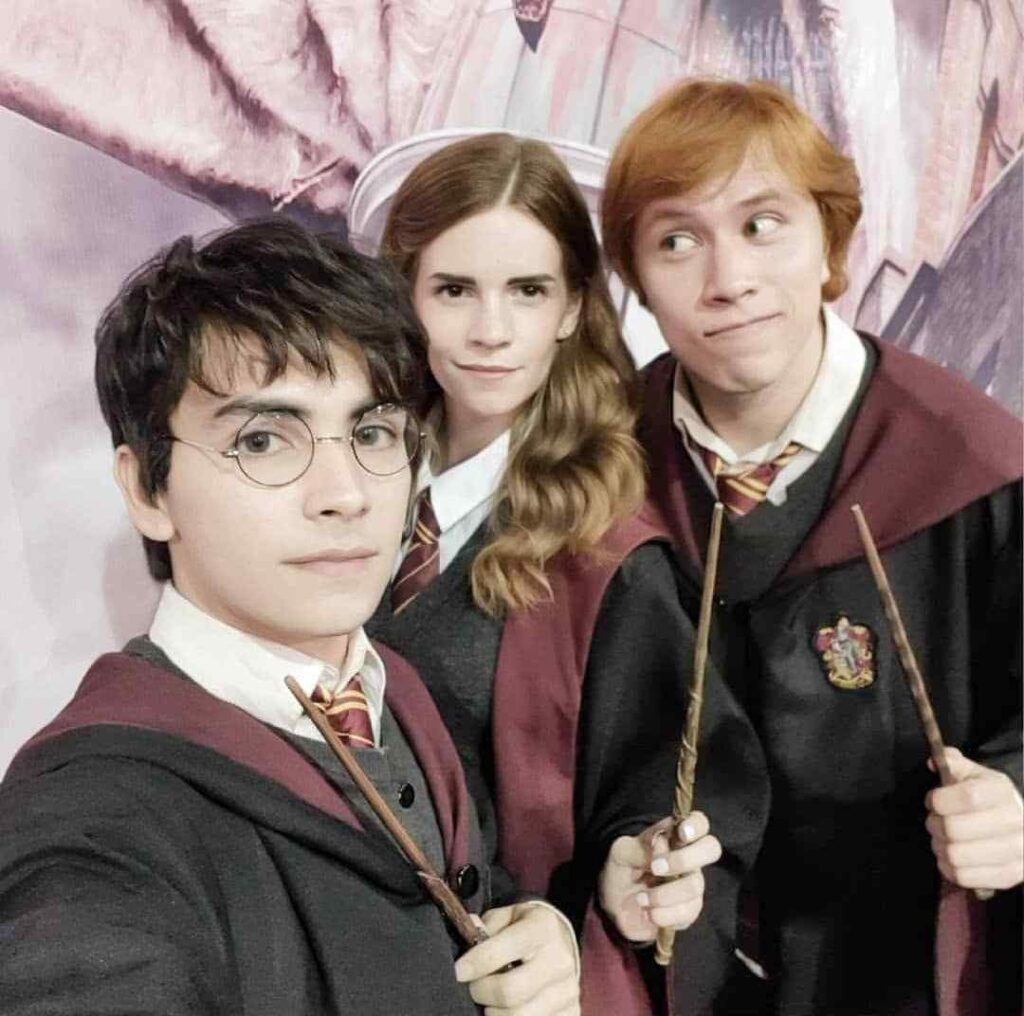 Harry Potter Diy Halloween Costumes
