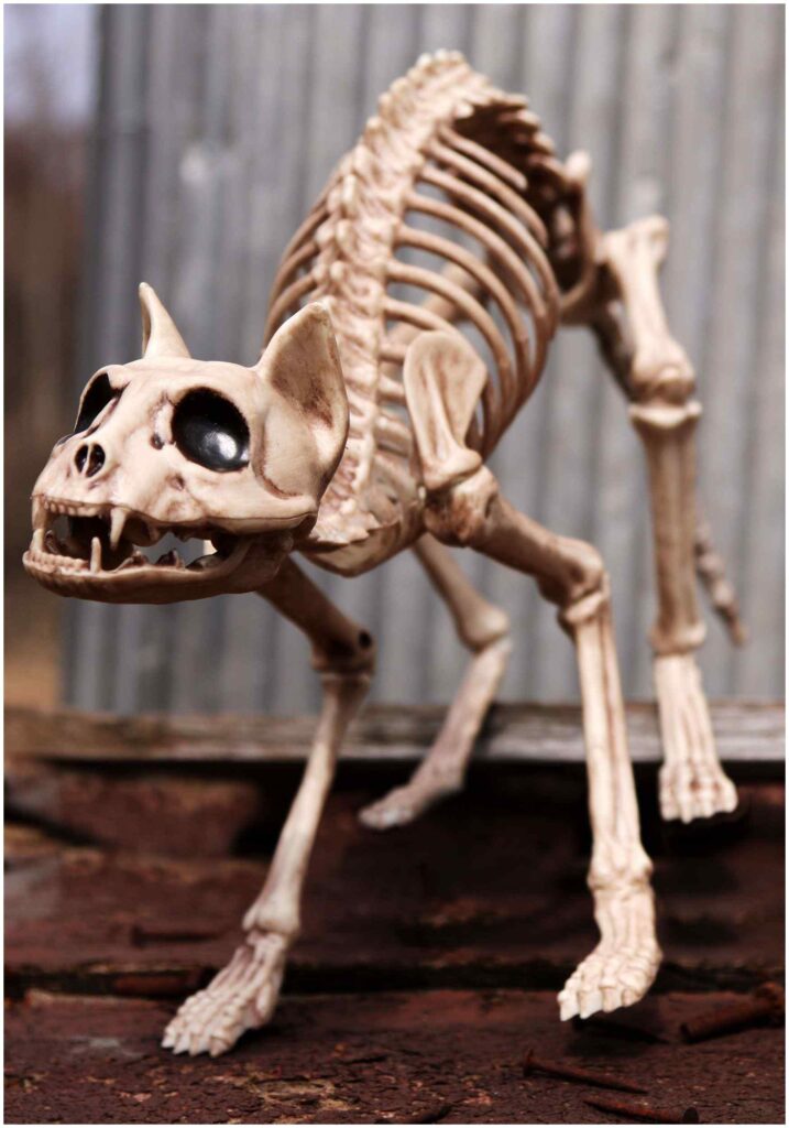 64 Spooky Halloween Decoration Ideas: DIY, Indoor, Outdoor, Office & School 24 Halloween Decoration Ideas