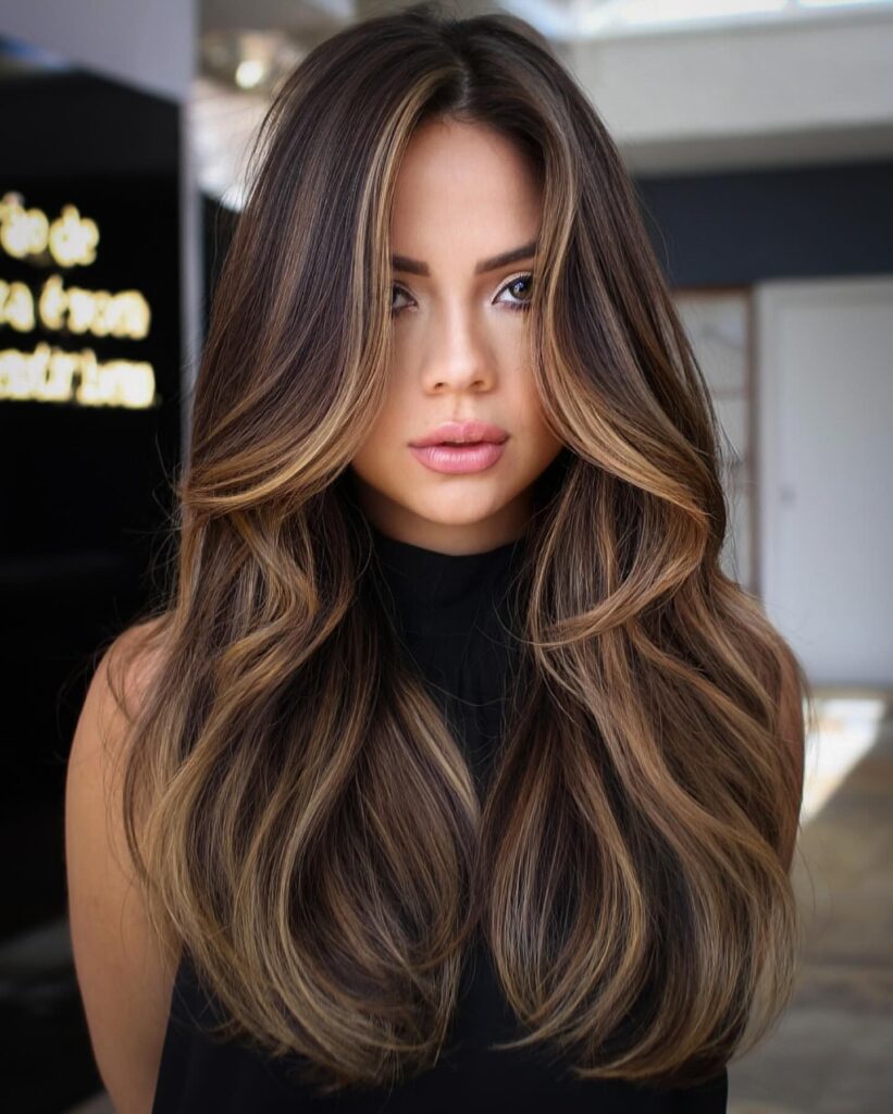Brown Hair With Caramel Highlights