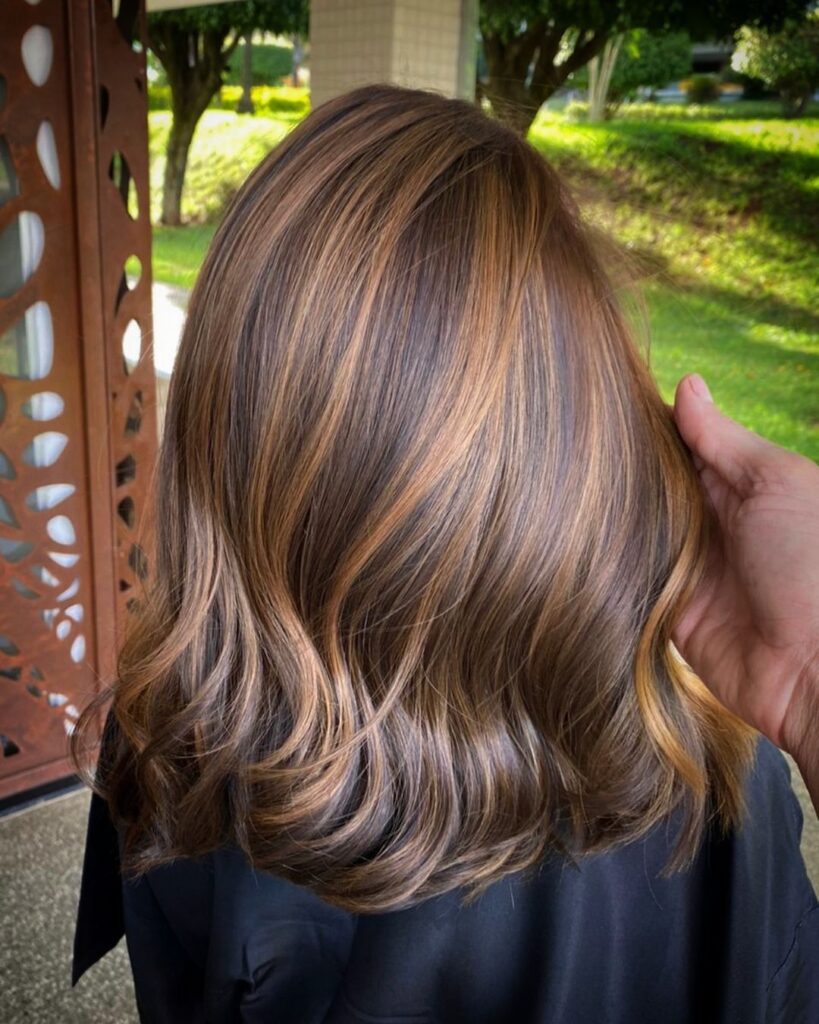 Brown Hair With Caramel Highlights
