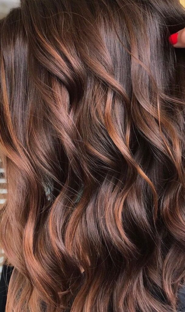 Brown Hair With Caramel Highlights