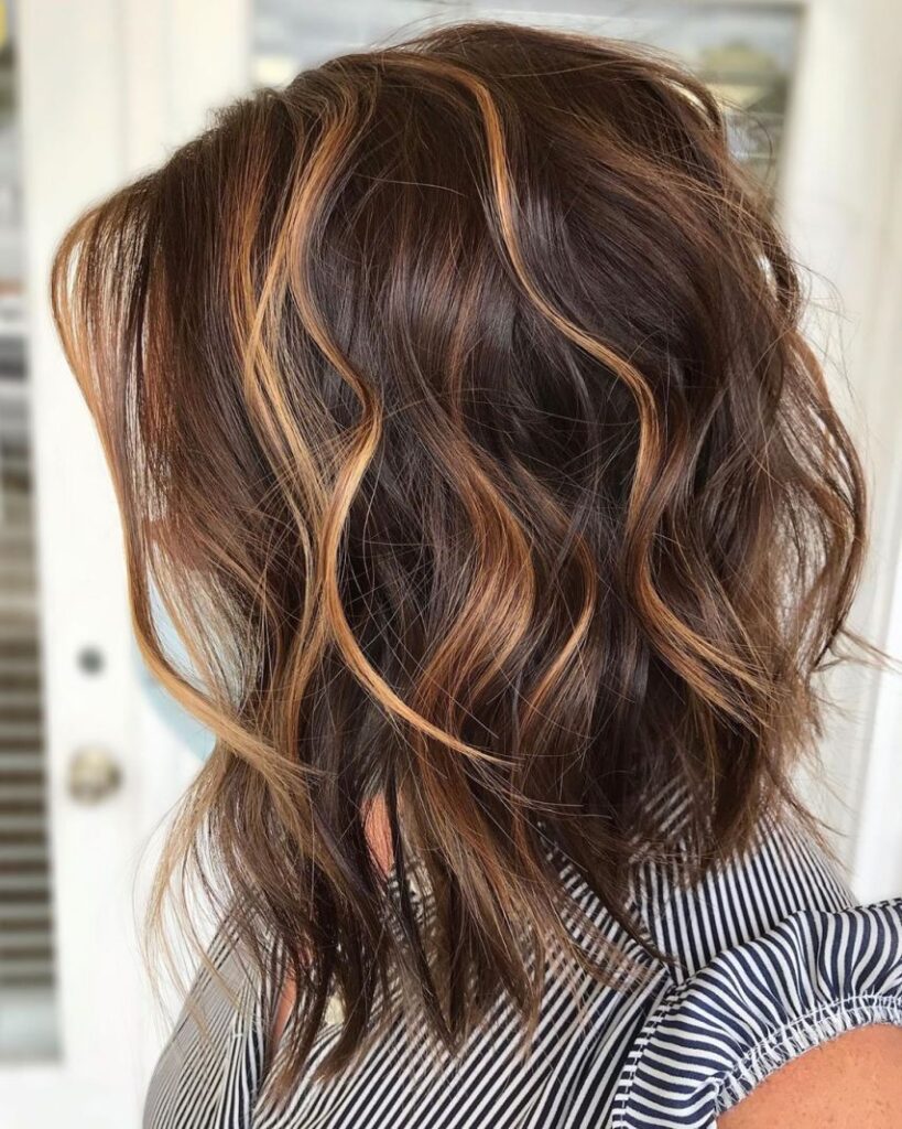 Brown Hair With Caramel Highlights