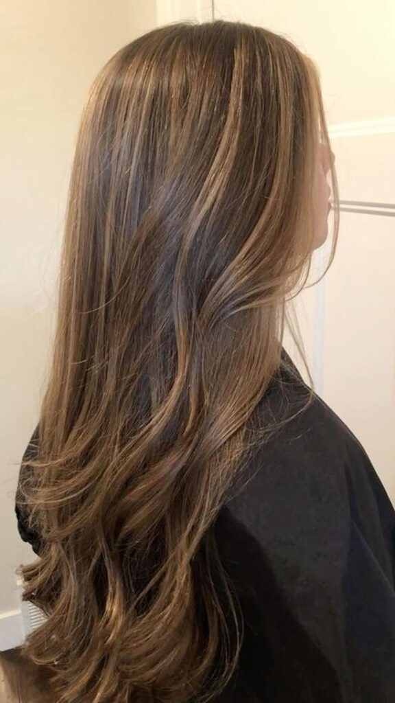 Brown Hair With Caramel Highlights