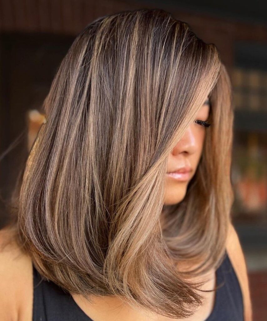 Brown Hair With Caramel Highlights