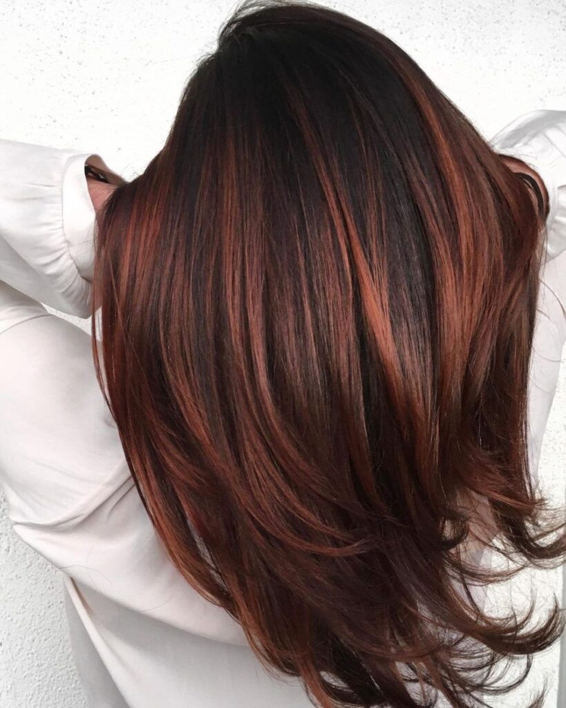 Brown Hair With Caramel Highlights