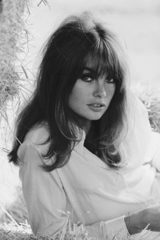 60s Hairstyles