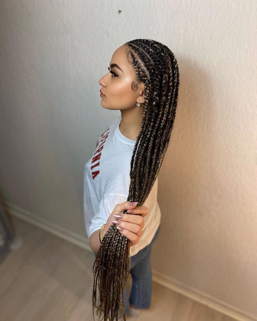 Simple Fulani Braids