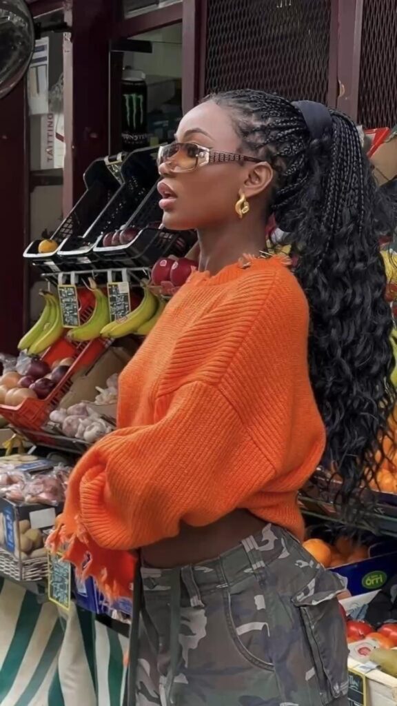 Simple Fulani Braids