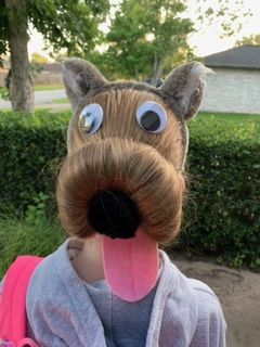 Wacky Hair Day Ideas