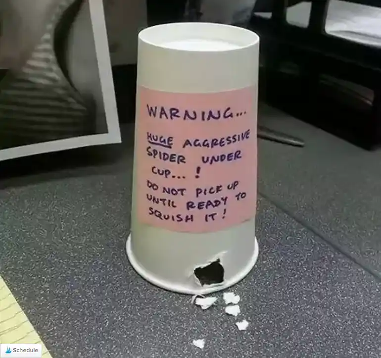 April Fool Pranks